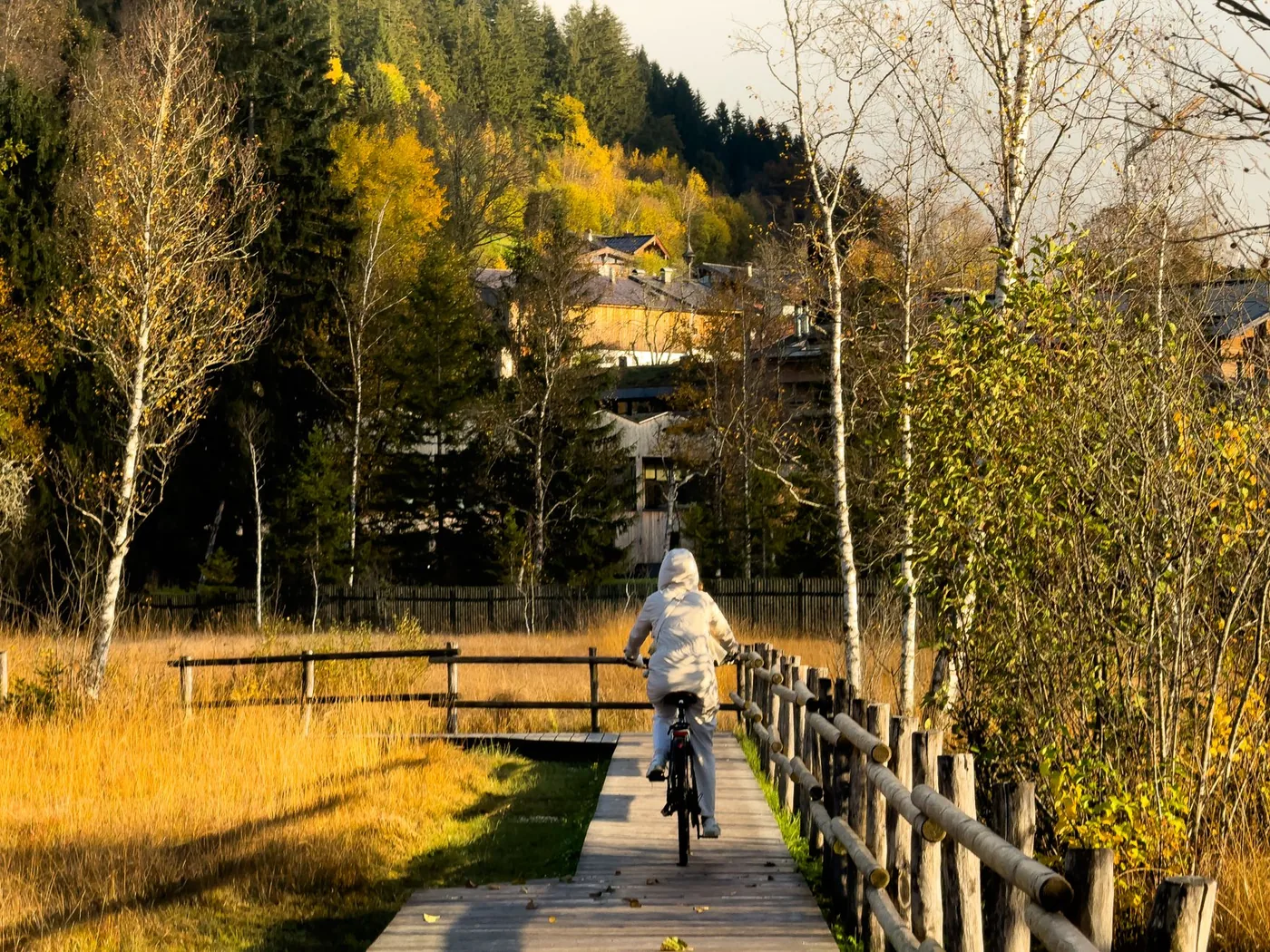 Cyklista na dřevěné lávce mezi stromy